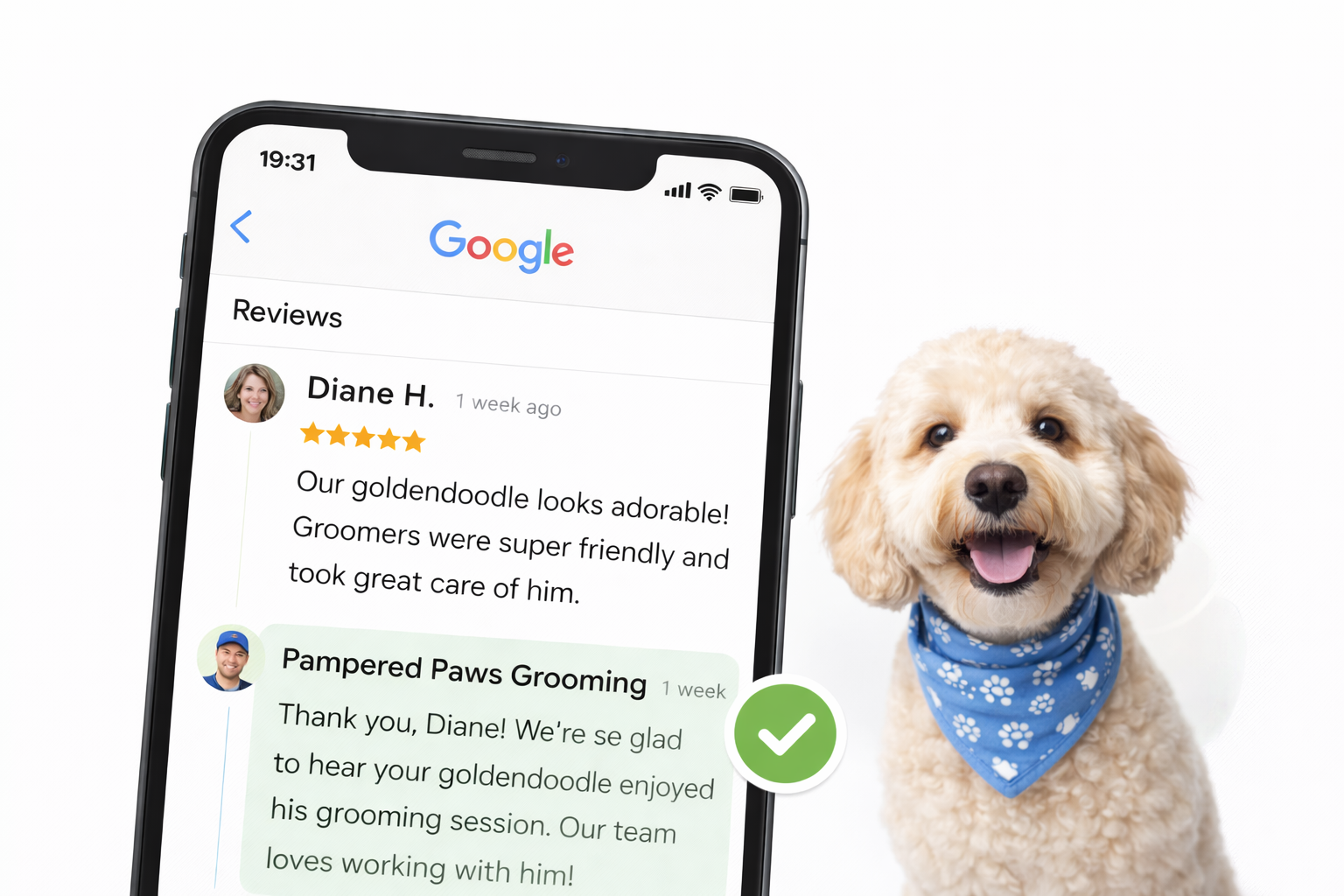 Example responses to customer reviews